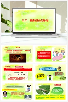 2.7蚕的生长变化 课件+视频 人教鄂教版小学科学四年级下册