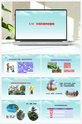 3.10不同环境中的植物 课件+教案+视频素材 人教鄂教版小学科学四年级下册