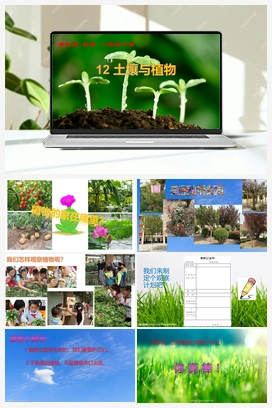 3.12：土壤与植物 课件+教案 青岛版小学科学一年级下册