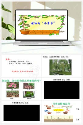 14 植物的分身术课件（课件16ppt+6视频） 青岛版小学科学三年级下册