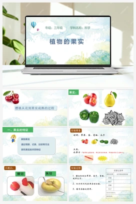 12 植物的果实 （课件 38张ppt+4个视频素材） 青岛版小学科学三年级下册