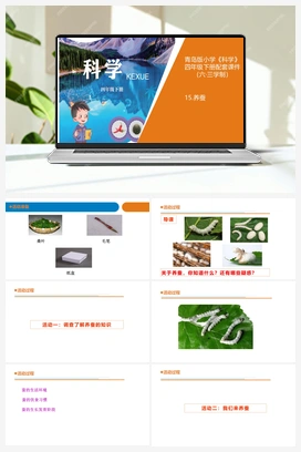 16 养蚕 课件 青岛版小学科学四年级下册