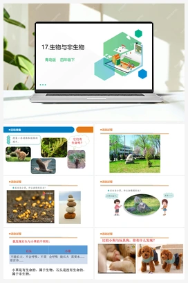 17生物与非生物 教案+课件（17张PPT） 青岛版小学科学四年级下册