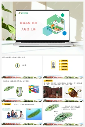 1.1 细胞 课件（19张PPT） 新青岛版版小学科学六年级上册