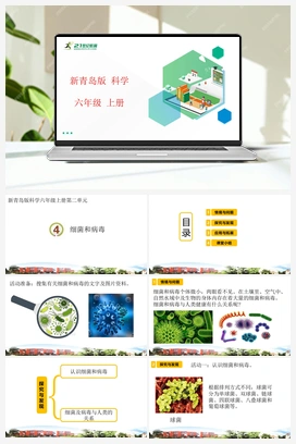 2.4 细菌和病毒 课件（23张PPT） 新青岛版版小学科学六年级上册
