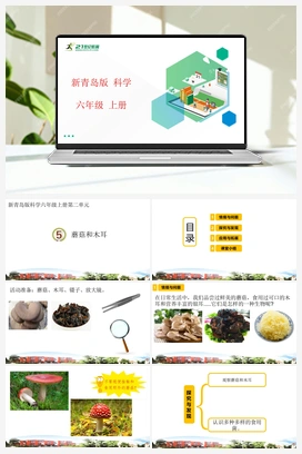 2.5 蘑菇和木耳 课件（21张PPT） 新青岛版小学科学六年级上册