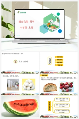 2.6 发霉与防霉 课件（24张PPT） 新青岛版版小学科学六年级上册