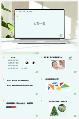 青岛版小学科学一年级上册第3课 看一看（课件12张PPT+教案+学案+练习含答案）