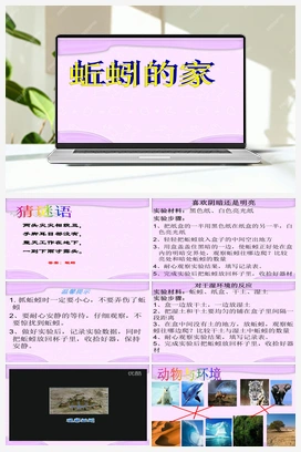 3.13：蚯蚓的家 课件+教案 青岛版小学科学一年级下册