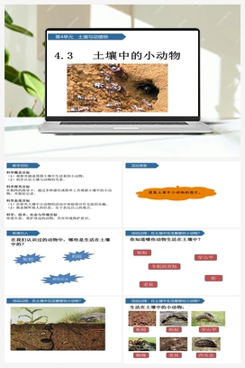 3.14：土壤中的小动物 课件+教案 青岛版小学科学一年级下册