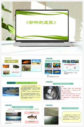 1.2《动物的皮肤》 课件（32张ppt）+4个视频 青岛版小学科学三年级上册