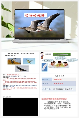 1.3《动物的翅膀》（课件11张+素材） 青岛版小学科学三年级上册