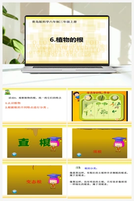 2.6 植物的根青岛版科学六年制三年级上册（课件、6视频）(共15张PPT) 青岛版小学科学三年级上册