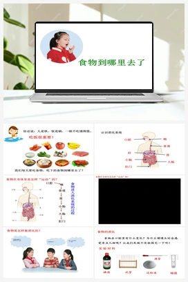 19 食物到哪里去了（课件15张PPT+2视频) 青岛版小学科学三年级下册