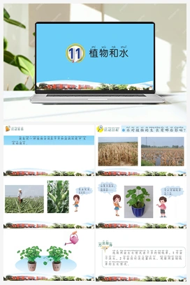 11 植物和水 (课件 9张ppt 1个视频素材） 青岛版小学科学二年级上册