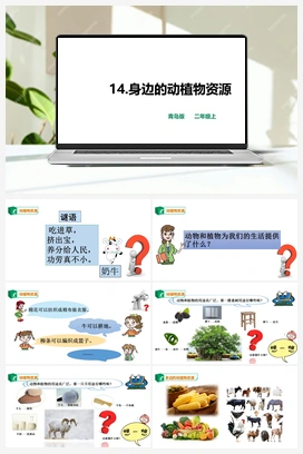 14 《身边的动植物资源》（课件+教案） 青岛版小学科学二年级上册