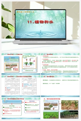 3.11植物和水说课 课件共19页)+教案 青岛版小学科学二年级上册