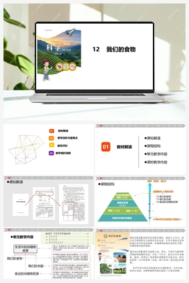 4.12我们的食物说课 课件共23页+教案 青岛版小学科学二年级上册