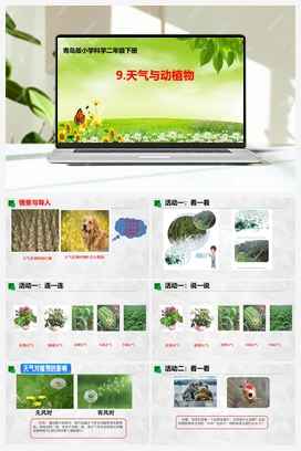 3.9：天气与动植物 课件+教案 青岛版小学科学二年级下册