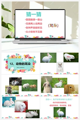 4.12：动物的耳朵 课件+教案 青岛版小学科学二年级下册