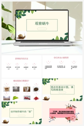 4.14：观察蜗牛 课件+教案 青岛版小学科学二年级下册