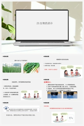 23.《生物的启示》 课件 青岛版小学科学五年级上册