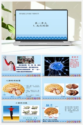 1.1：我们的脑 课件（12ppt） 青岛版小学科学五年级下册