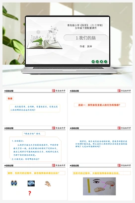 1.1：我们的脑 课件（21ppt） 青岛版小学科学五年级下册