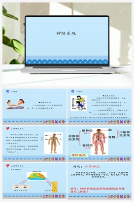 1.2：神经系统 （课件12ppt） 青岛版小学科学五年级下册