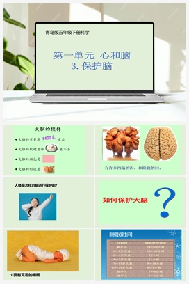 1.3：保护脑 课件（15ppt） 青岛版小学科学五年级下册