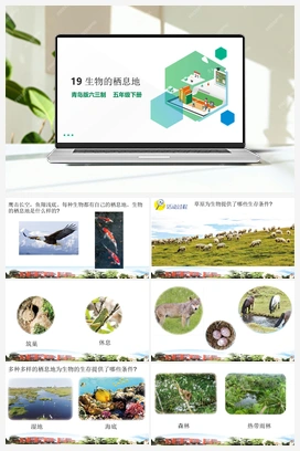 5.19 生物的栖息地 课件（15张PPT）+素材 青岛版小学科学五年级下册