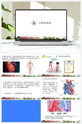 第04课：心脏和血管 课件+视频 青岛版小学科学五年级下册