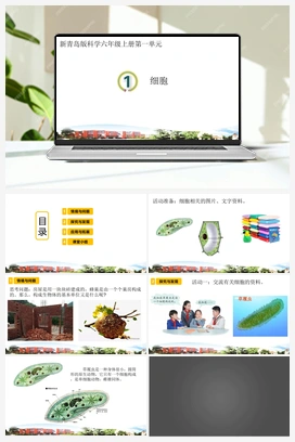 1.细胞（课件） 青岛版小学科学六年级上册