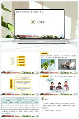 2.像与不像（课件） 青岛版小学科学六年级上册