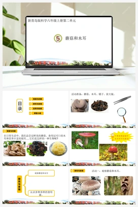 5.蘑菇和木耳（课件） 青岛版小学科学六年级上册