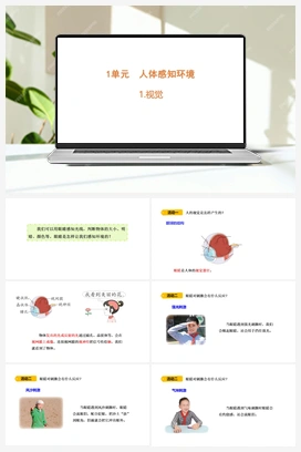 1 视觉 课件 (共15张PPT) 青岛版小学科学六年级下册