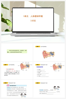 3 听觉 课件 (共15张PPT) 青岛版小学科学六年级下册