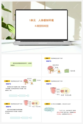 4 嗅觉和味觉 课件 (共18张PPT) 青岛版小学科学六年级下册