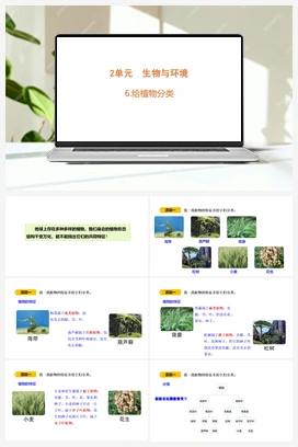 6 给植物分类 课件 (共21张PPT) 青岛版小学科学六年级下册