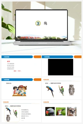 3.鸟（课件20张ppt 教案 素材） 青岛版小学科学四年级上册