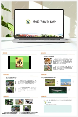 5我国的珍稀动物（课件20张ppt 教案 素材） 青岛版小学科学四年级上册