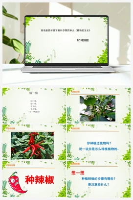 12种辣椒 课件 青岛版小学科学四年级下册
