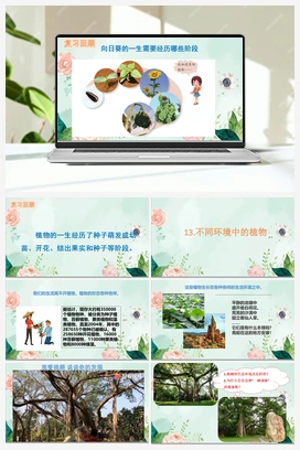 13不同环境中的植物（课件21ppt+视频） 青岛版小学科学四年级下册