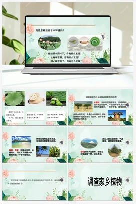 14《调查家乡植物》 课件 青岛版小学科学四年级下册