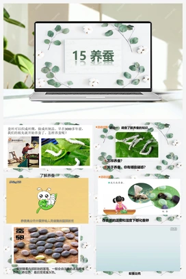 15养蚕（课件共16张PPT） 青岛版小学科学四年级下册