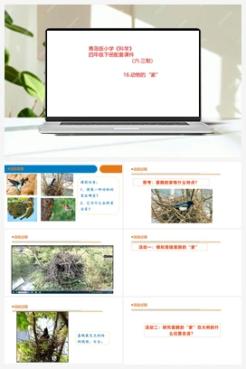 16《动物的“家”》 课件 青岛版小学科学四年级下册