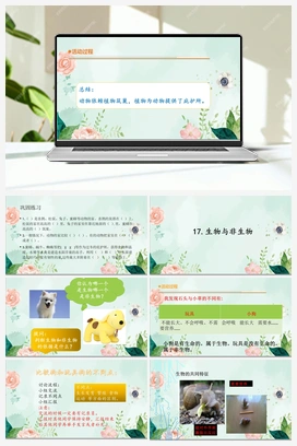 17生物与非生物 课件 青岛版小学科学四年级下册