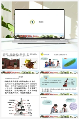 1.1.细胞 课件(共13张PPT+视频) 青岛版（六三制2022） 小学科学六年级上册