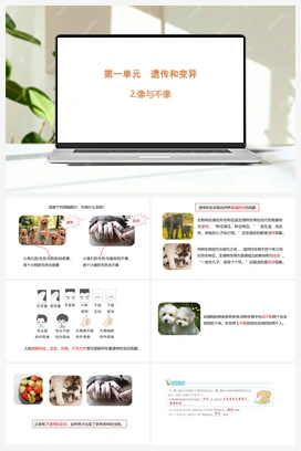 1.2.像与不像（含练习）课件(共12张PPT) 青岛版（六三制2022） 小学科学六年级上册