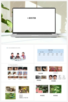 1.2像与不像 课件(共21张PPT) 青岛版（六三制2022） 小学科学六年级上册